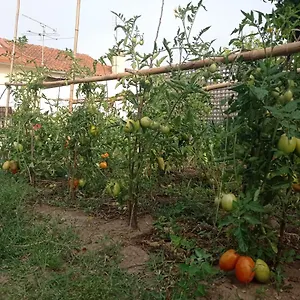 https://eira-da-mila-coimbra.hotelscoimbra.com
