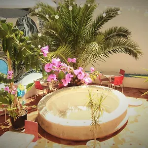 https://hostel-the-white-butterfly.hotelaalgarve.com